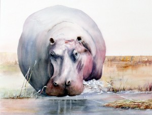 Henrietta Hippo